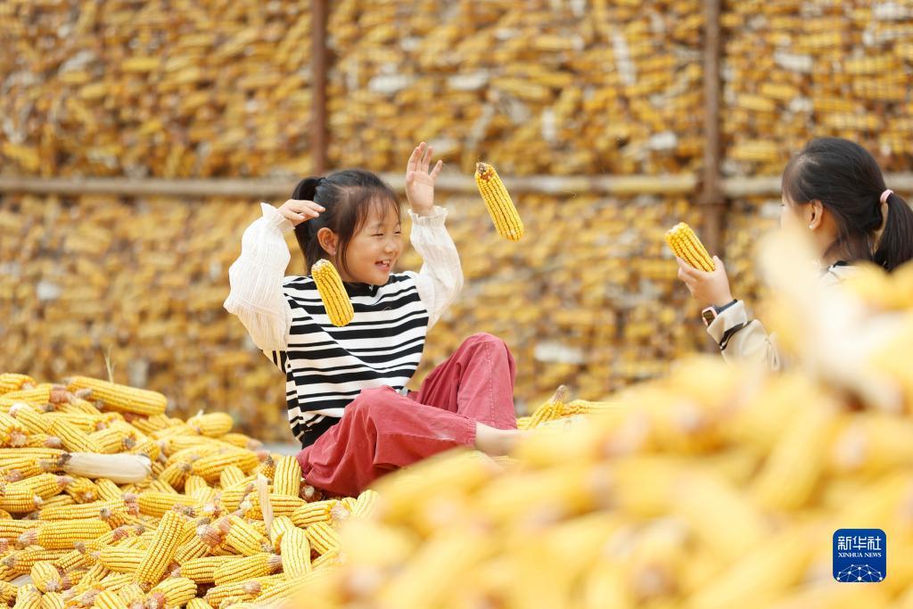 什么是菠菜游戏